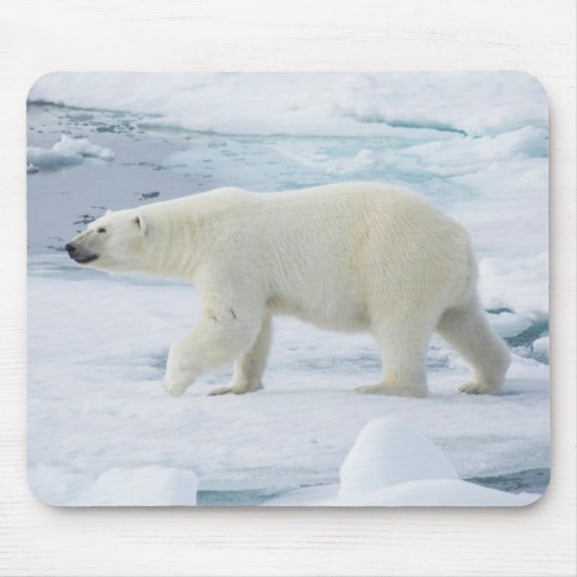ノルウェー、ホッキョクグマの歩行 マウスパッド (正面)