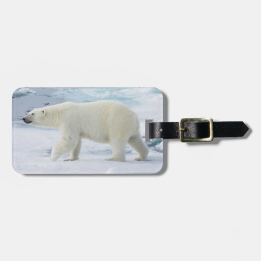 ノルウェー、ホッキョクグマの歩行 ラゲッジタグ (正面横)