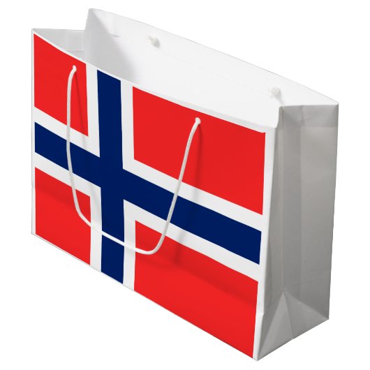 ノルウェー ラージペーパーバッグ (正面アングル)