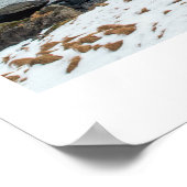 ノルウェー,ロフォテン ポスター (角)