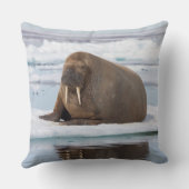 ノルウェー，氷の上で休息するセイウラス クッション (裏面)