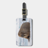 ノルウェー,氷の上で休息するセイウラス ラゲッジタグ (正面縦)