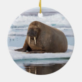 ノルウェー、氷上のセイウチ セラミックオーナメント (裏面)