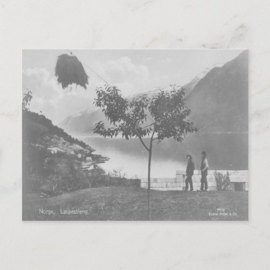 ノルウェーLoipestrenggヴィンテージはがき ポストカード (正面)