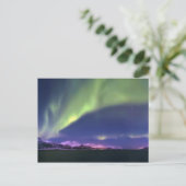 ノルウェーLyngenfjordenより上のオーロラボレリス ポストカード (スタンド正面)