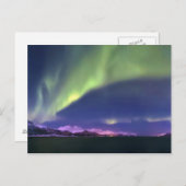 ノルウェーLyngenfjordenより上のオーロラボレリス ポストカード (正面/裏面)
