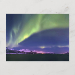 ノルウェーLyngenfjordenより上のオーロラボレリス ポストカード