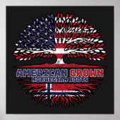 ノルウェーUSアメリカ合衆国アメリカ合衆国統一された州 ポスター (正面)