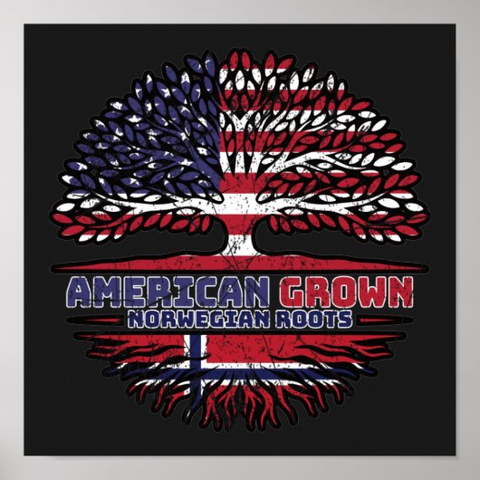 ノルウェーUSアメリカ合衆国アメリカ合衆国統一された州 ポスター (正面)