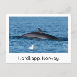 ノルドカプ、ノルウェーの土産はがき。 ポストカード
