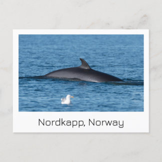 ノルドカプ、ノルウェーの土産はがき。 ポストカード