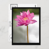 ノルマンのロータスの視覚 ポストカード (正面/裏面)