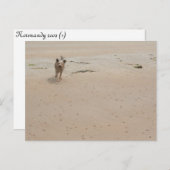 ノルマンディー2009年(1) ポストカード (正面/裏面)