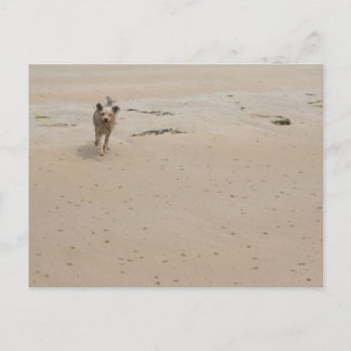 ノルマンディー2009年(1) ポストカード