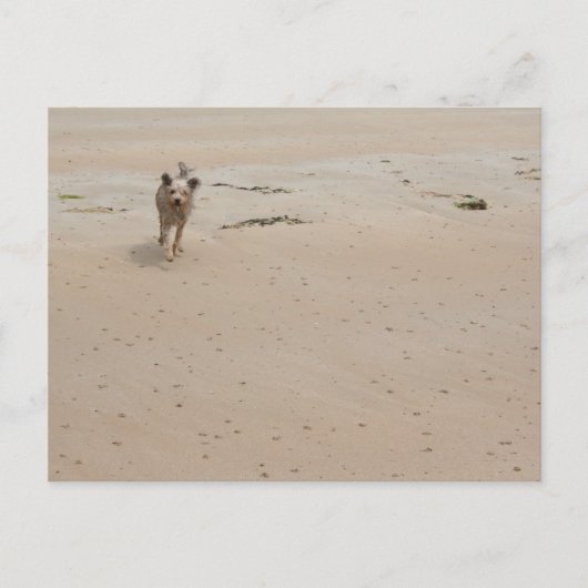 ノルマンディー2009年(1) ポストカード (正面)