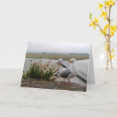 ノルマンディー，フランス – カード (黄色い花)