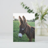 ノルマンディ2009 ポストカード (スタンド正面)