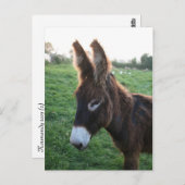 ノルマンディ2009 ポストカード (正面/裏面)