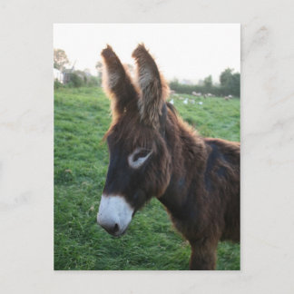 ノルマンディ2009 ポストカード