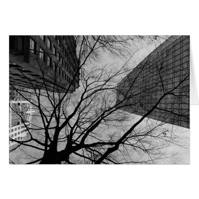 ノワール市 (正面横)