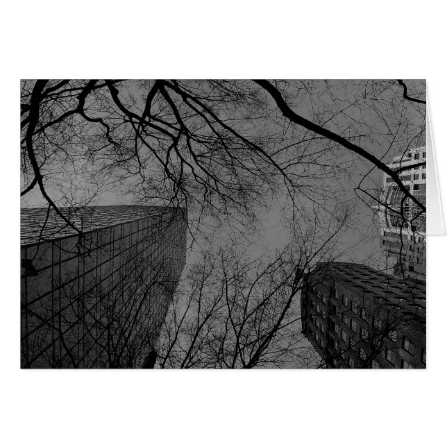 ノワール市 (正面横)
