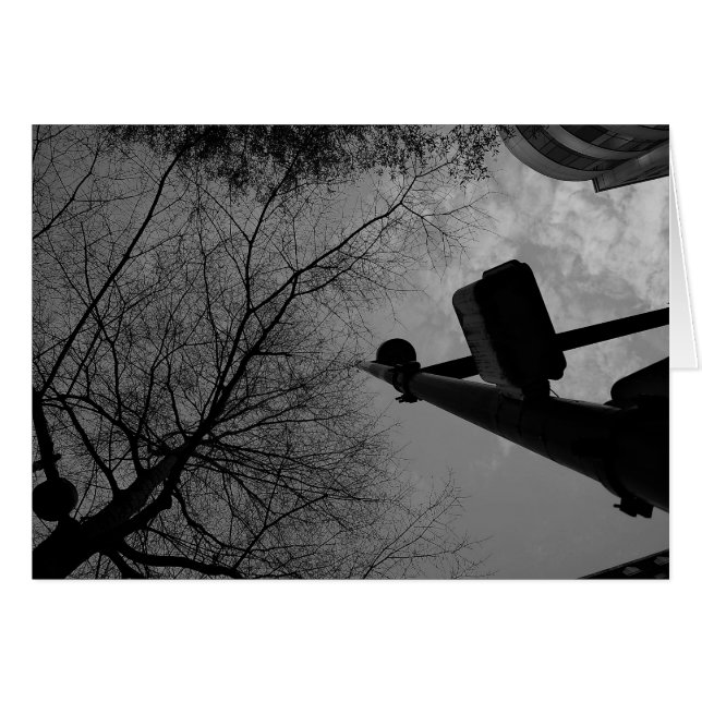 ノワール市 (正面横)