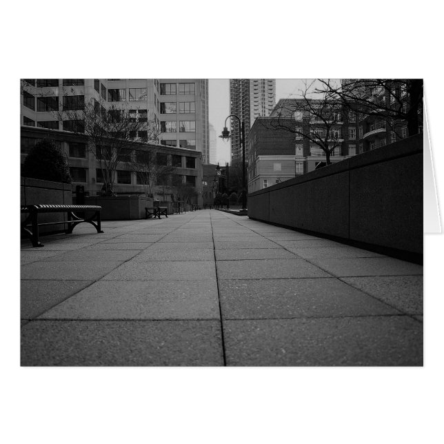 ノワール市 (正面横)