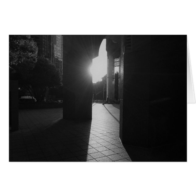 ノワール市 (正面横)