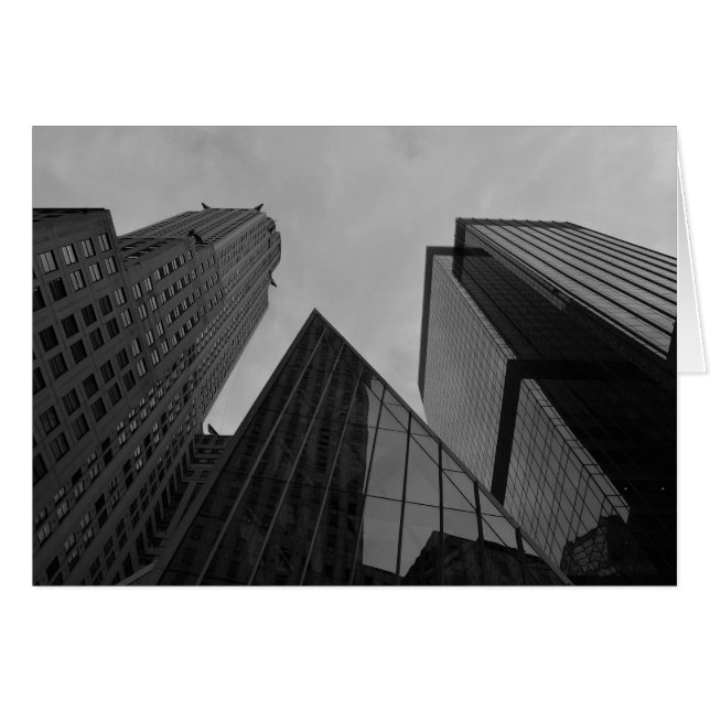ノワール市 (正面横)