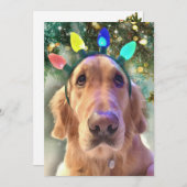 ノヴァズバフンバグクリスマス – ゴールデンレトリバー –  シーズンカード (正面/裏面)