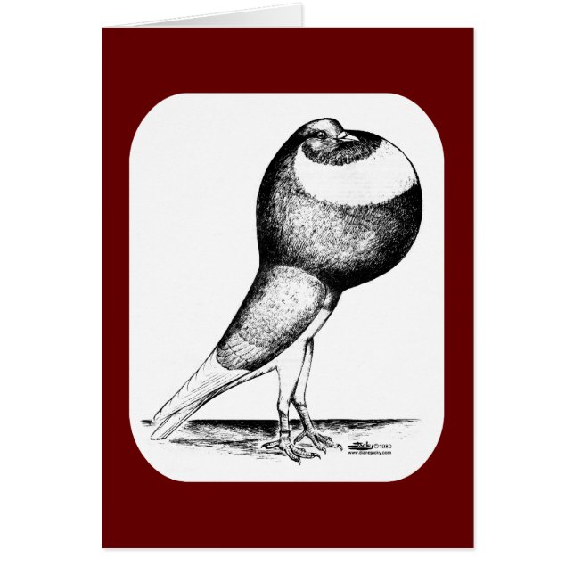 ノーウィッチクロッパピジョン1980 (正面)