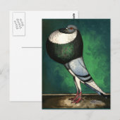 ノーウィッチクロッパーブルーパイド ポストカード (正面/裏面)