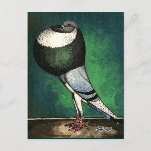 ノーウィッチクロッパーブルーパイド ポストカード (正面)