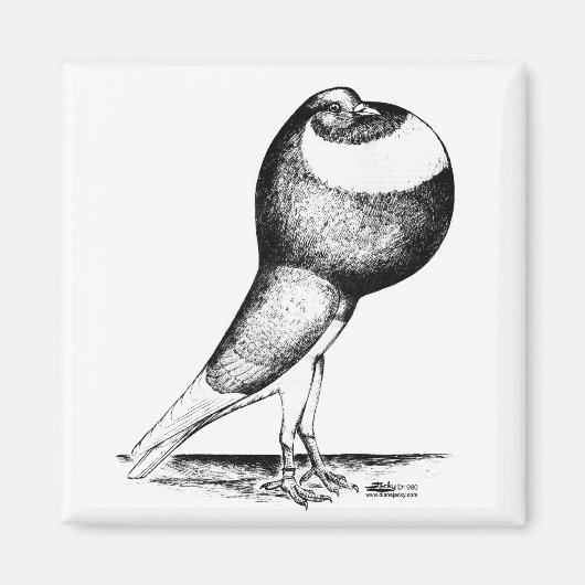 ノーウィッチクロッパー1980 マグネット (正面)