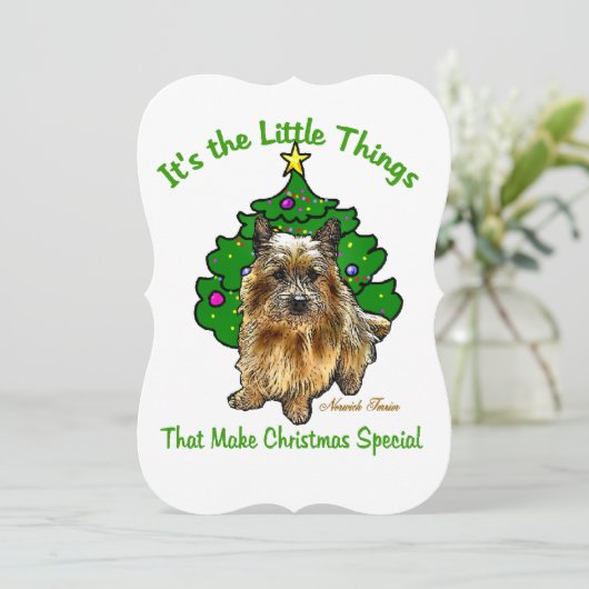 ノーウィッチテリアクリスマス シーズンカード (スタンド正面)