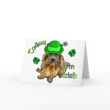 ノーウィッチテリアSt patricks