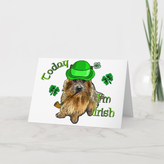 ノーウィッチテリアSt patricks カード (正面)