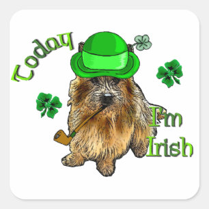 ノーウィッチテリアSt patricks スクエアシール