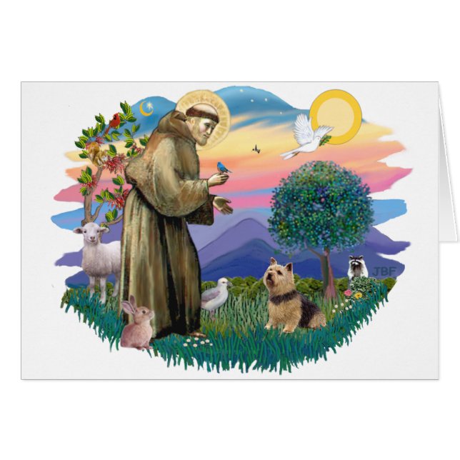 ノーウィッチ・テリア (正面横)