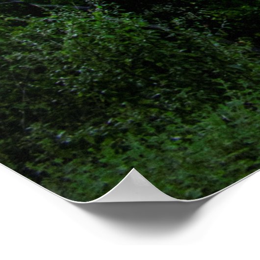 ノーウッドからダウンタウンのオースティンスカイライン – オースティンテキサス州 ポスター (角)