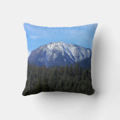 ノーカル冬の時間… クッション (裏面)