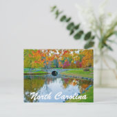 ノーカロライナ ポストカード (スタンド正面)