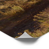 ノーサラファーキャニオンコロラドナショナルモニュメント ポスター (角)