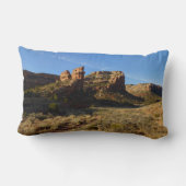 ノーサラファーキャニオンコロラドナショナルモニュメント ランバークッション (裏面)