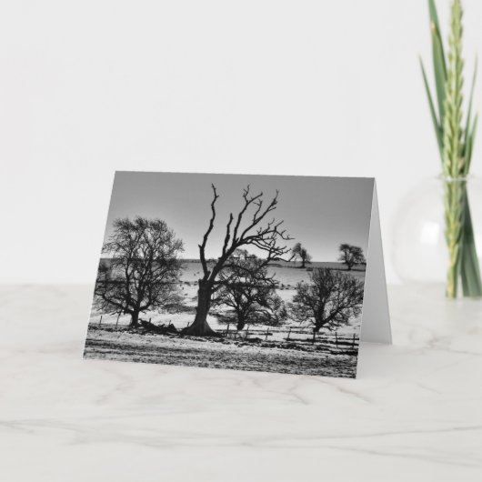 ノーサンバーランドの挨拶状の冬 カード (正面)