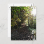 ノーサンバーランドの歩道を歩く ポストカード (正面/裏面)