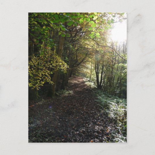 ノーサンバーランドの歩道を歩く ポストカード (正面)