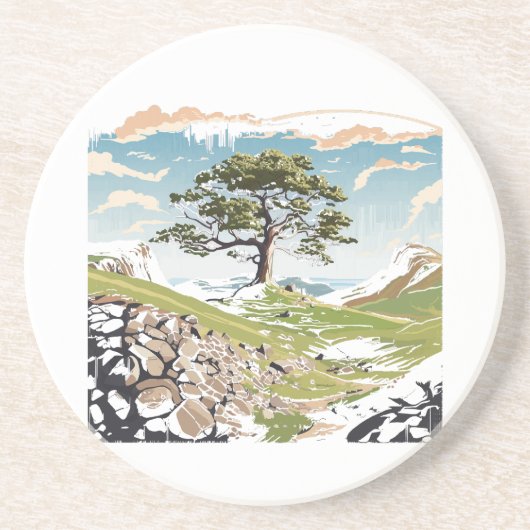 ノーサンバーランド国立公園シカモアギャップツリー コースター (正面)