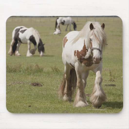 ノーサンバーランド州のクライドの馬 マウスパッド (正面)