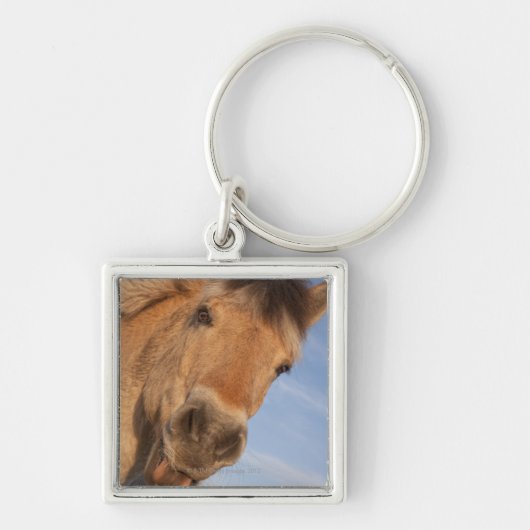 ノーサンバーランド、イギリス2 キーホルダー (正面)